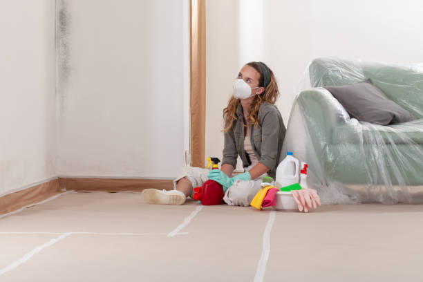 Reliable Bathroom Mold Removal contractor in Sparrows Point, MD by WQB Mold Removal