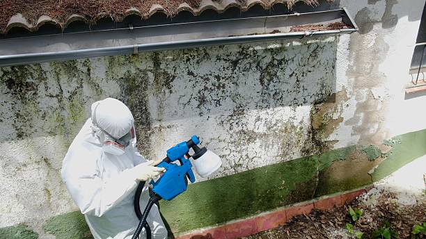 Top rated local Bathroom Mold Removal specialists in Sparrows Point, MD